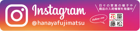 花屋藤松インスタ