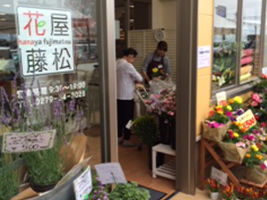 �ԉ������@��c�h�X