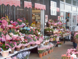 �ԉ������@�g���X